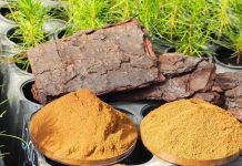 Con gran éxito y más de 40 postulaciones cerró la convocatoria a universidades y startups para innovar en aplicaciones de lignina kraft  Con gran éxito y más de 40 postulaciones cerró la convocatoria a universidades y startups para innovar en aplicaciones de lignina kraft