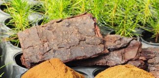 Con gran éxito y más de 40 postulaciones cerró la convocatoria a universidades y startups para innovar en aplicaciones de lignina kraft  Con gran éxito y más de 40 postulaciones cerró la convocatoria a universidades y startups para innovar en aplicaciones de lignina kraft