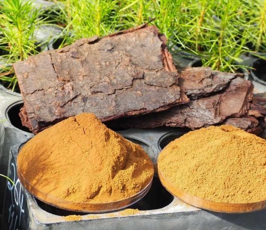 Con gran éxito y más de 40 postulaciones cerró la convocatoria a universidades y startups para innovar en aplicaciones de lignina kraft  Con gran éxito y más de 40 postulaciones cerró la convocatoria a universidades y startups para innovar en aplicaciones de lignina kraft