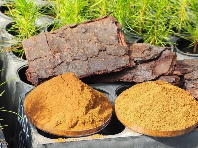 Con gran éxito y más de 40 postulaciones cerró la convocatoria a universidades y startups para innovar en aplicaciones de lignina kraft  Con gran éxito y más de 40 postulaciones cerró la convocatoria a universidades y startups para innovar en aplicaciones de lignina kraft