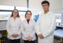 Doctorando UCSC obtiene fondo ANID por proyecto que reutiliza conchas para purificar aguas Doctorando UCSC obtiene fondo ANID por proyecto que reutiliza conchas para purificar aguas