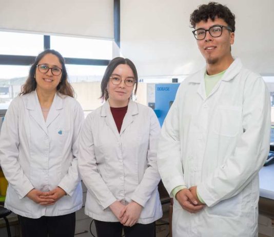 Doctorando UCSC obtiene fondo ANID por proyecto que reutiliza conchas para purificar aguas Doctorando UCSC obtiene fondo ANID por proyecto que reutiliza conchas para purificar aguas