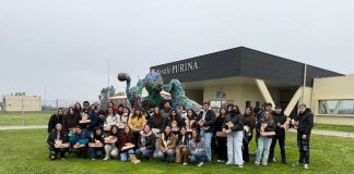 El auge de la carrera en sintonía con las nuevas generaciones