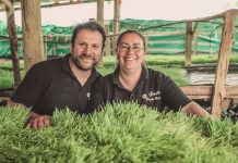 En el corazón de Chile laten historias que transforman: postula a Nuevos Héroes 2025 En el corazón de Chile laten historias que transforman: postula a Nuevos Héroes 2025