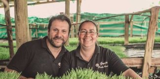 En el corazón de Chile laten historias que transforman: postula a Nuevos Héroes 2025