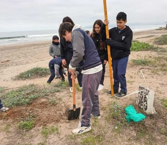 FAMA: Comienza inédito proyecto para fortalecer los grupos de Forjadores Ambientales de Chile FAMA: Comienza inédito proyecto para fortalecer los grupos de Forjadores Ambientales de Chile