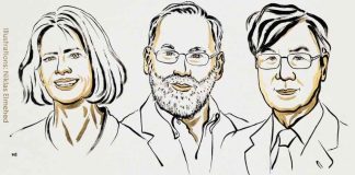 Premio Nobel de Medicina 2025: Descubrimientos sobre la tolerancia inmune periférica