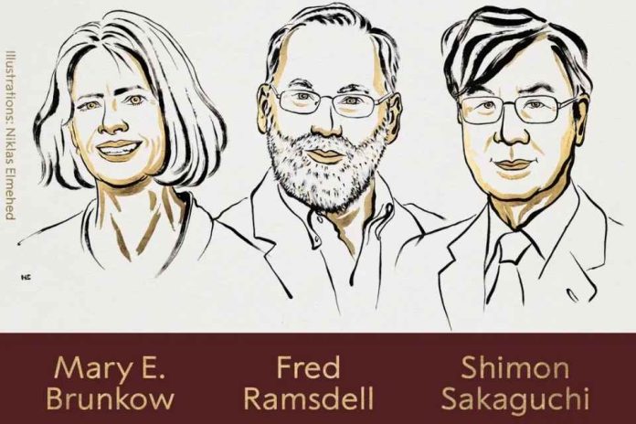 Premio Nobel de Medicina 2025: Descubrimientos sobre la tolerancia inmune periférica