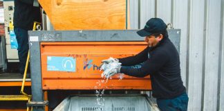 Samsung refuerza su compromiso con el reciclaje de residuos electrónicos en América Latina