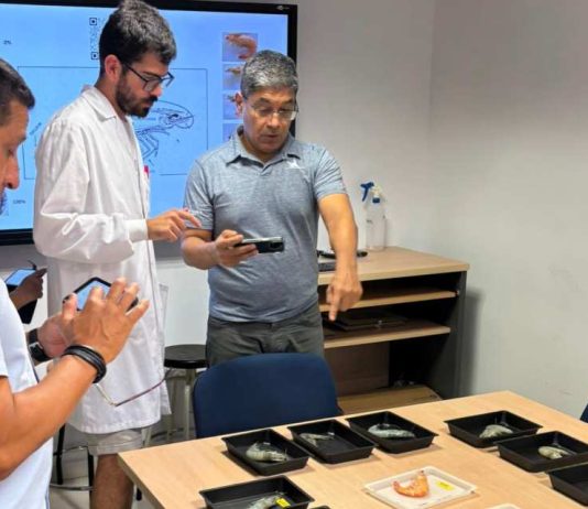 UCT destaca en Europa con investigación que impulsa la nutrición y el bienestar de peces