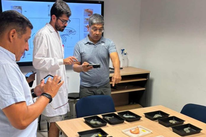 UCT destaca en Europa con investigación que impulsa la nutrición y el bienestar de peces UCT destaca en Europa con investigación que impulsa la nutrición y el bienestar de peces