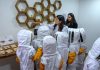 USM Bee Lab fortalece su programa de visitas escolares acercando la apicultura urbana y la investigación a las aulas USM Bee Lab fortalece su programa de visitas escolares acercando la apicultura urbana y la investigación a las aulas