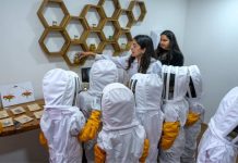 USM Bee Lab fortalece su programa de visitas escolares acercando la apicultura urbana y la investigación a las aulas USM Bee Lab fortalece su programa de visitas escolares acercando la apicultura urbana y la investigación a las aulas