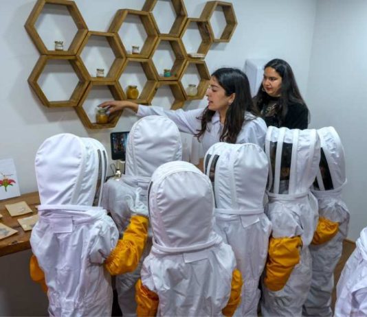 USM Bee Lab fortalece su programa de visitas escolares acercando la apicultura urbana y la investigación a las aulas USM Bee Lab fortalece su programa de visitas escolares acercando la apicultura urbana y la investigación a las aulas