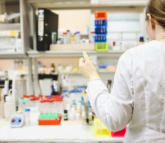 UTalca abre carrera de Química y Farmacia para admisión 2026