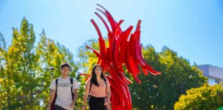 UTalca rediseña sus carreras: Flexibilidad, minors y menos carga académica