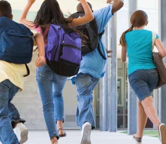 Edtech chilena marca un precedente en inclusión científica con equipo experto en neurodivergencias Edtech chilena marca un precedente en inclusión científica con equipo experto en neurodivergencias