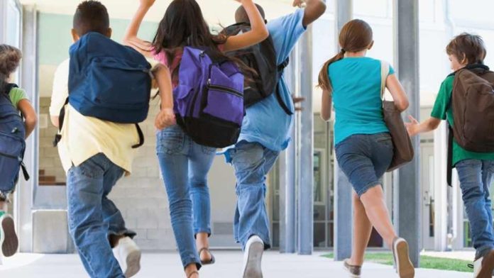 Edtech chilena marca un precedente en inclusión científica con equipo experto en neurodivergencias Edtech chilena marca un precedente en inclusión científica con equipo experto en neurodivergencias