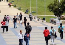 El 35% de las carreras de educación superior tiene retorno económico negativo, el lapidario informe de la Fiscalía Nacional Económica