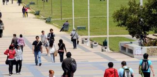El 35% de las carreras de educación superior tiene retorno económico negativo, el lapidario informe de la Fiscalía Nacional Económica
