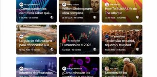 Elecciones 2025 La IA de Google que ayuda a analizar las propuestas de los candidatos