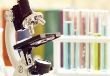 Estudio revela que la eficiencia investigativa en universidades chilenas no depende del tamaño ni del presupuesto