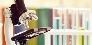 Estudio revela que la eficiencia investigativa en universidades chilenas no depende del tamaño ni del presupuesto