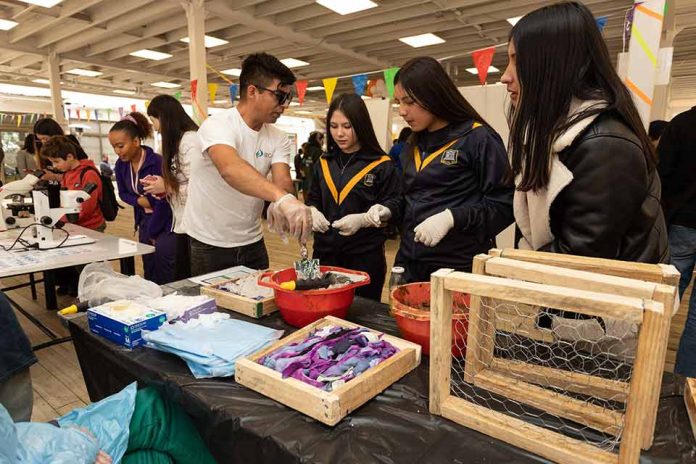 II Feria Interuniversitaria STEAM reunirá a siete instituciones de educación superior para acercar la ciencia a escolares de la Región de Valparaíso II Feria Interuniversitaria STEAM reunirá a siete instituciones de educación superior para acercar la ciencia a escolares de la Región de Valparaíso