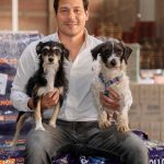 Golpe de calor: cómo la nutrición ayuda a proteger a las mascotas durante el verano