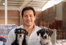 Golpe de calor: cómo la nutrición ayuda a proteger a las mascotas durante el verano