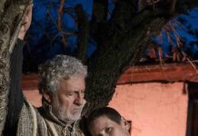 La soledad y el caminante:  Nueva obra retrata mágico encuentro en antigua ruta entre Talca y Curepto