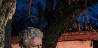 La soledad y el caminante:  Nueva obra retrata mágico encuentro en antigua ruta entre Talca y Curepto