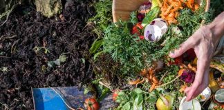 Lanzan campaña para promover el reciclaje de residuos orgánicos y educar sobre materiales compostable