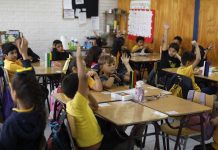 Radiografía a la matrícula escolar 2025