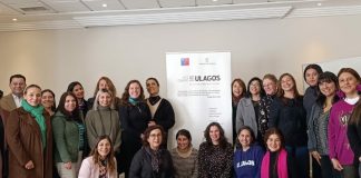 A través de cursos e instancias formativas, ULagos continúa fortaleciendo el liderazgo femenino en Ciencia, Tecnología, Conocimiento e Innovación