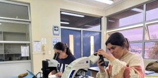 Científicos de la Basura proyecta al 2026 investigación Viajeros del Océano