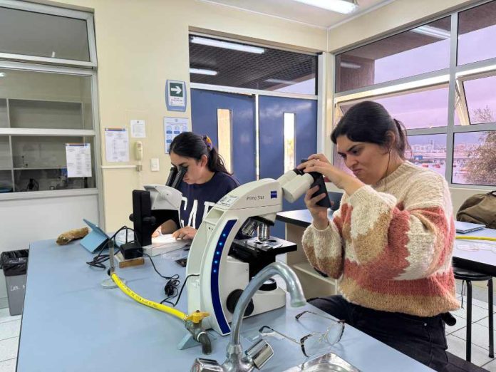 _Científicos de la Basura proyecta al 2026 investigación Viajeros del Océano Científicos de la Basura proyecta al 2026 investigación Viajeros del Océano