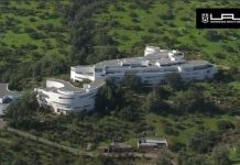 Conoce las nuevas carreras que impartirá la Escuela de Negocios UAI