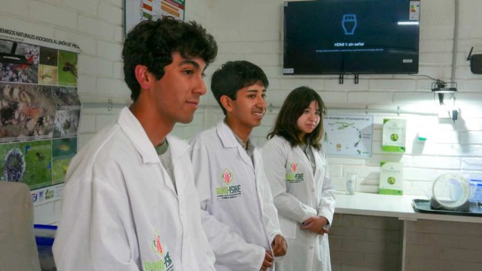 Estudiantes de la comunidad Lickan Antay visitan INIA Intihuasi para conocer líneas de investigación en ciencias agrarias