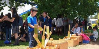 FestiCiencia 2025 celebró la curiosidad y el conocimiento