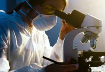 Innovador programa de Ulagos busca potenciar la investigación científica en comunidad académica y profesional Innovador programa de Ulagos busca potenciar la investigación científica en comunidad académica y profesional