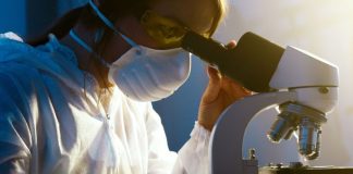 Innovador programa de Ulagos busca potenciar la investigación científica en comunidad académica y profesional