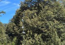 Instalan moderna estación meteorológica para medir compuestos orgánicos volátiles biogénicos en Conguillío Instalan moderna estación meteorológica para medir compuestos orgánicos volátiles biogénicos en Conguillío