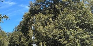 Instalan moderna estación meteorológica para medir compuestos orgánicos volátiles biogénicos en Conguillío