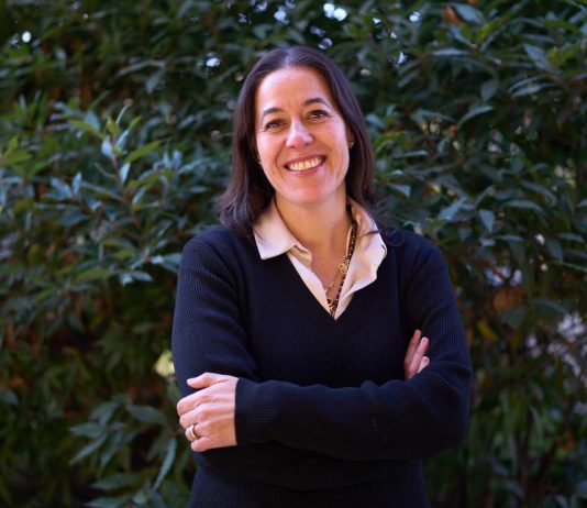 La PAES no se rinde en solitario