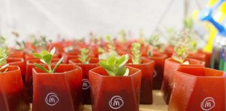 McDonald’s transforma la industria con instalación de Huerto Urbano en restaurante de Macul