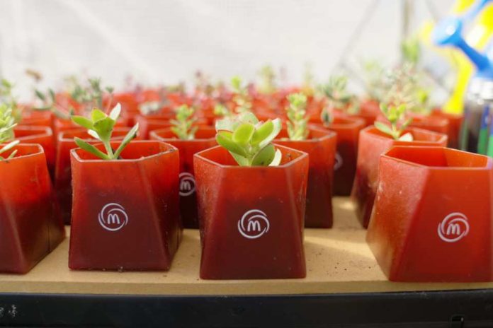 McDonald’s transforma la industria con instalación de Huerto Urbano en restaurante de Macul McDonald’s transforma la industria con instalación de Huerto Urbano en restaurante de Macul