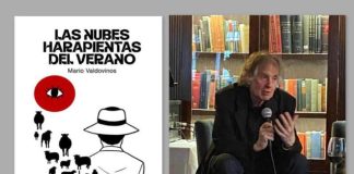 Nuevo libro: Las nubes harapientas del verano