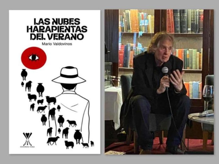 Nuevo libro: Las nubes harapientas del verano