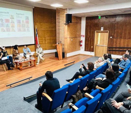 Programa InES Género de ULagos culmina con importantes hitos que consolidan la perspectiva de género en la investigación y la innovación